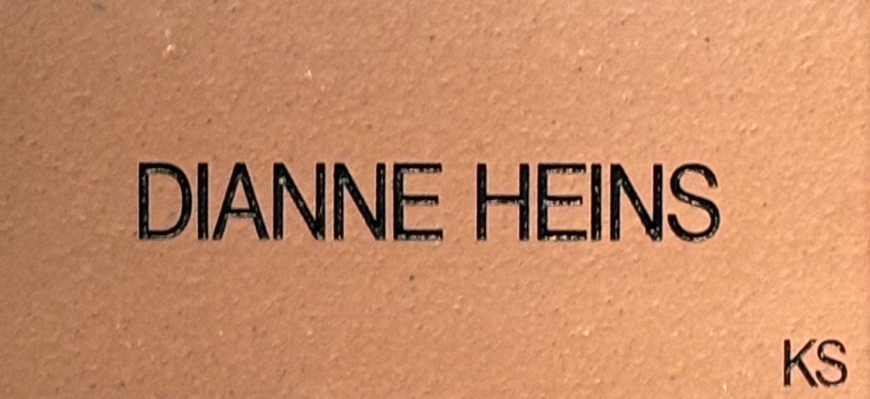 Dianne Heins