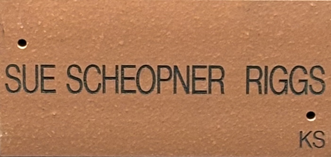 Sue Scheopner Riggs