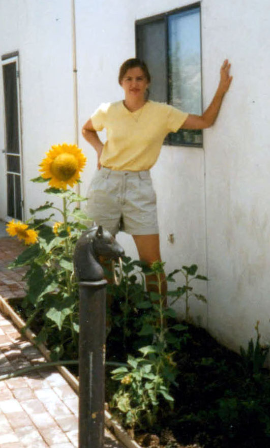 Created by DPE, Copyright IRIS 2007