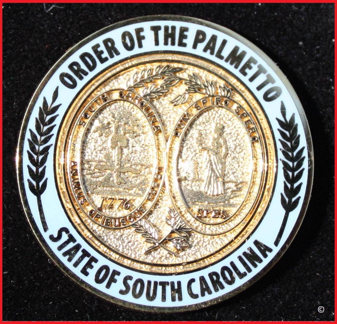 Order_of_the_Palmetto_-_NEW_-_with_Copyright.76172102
